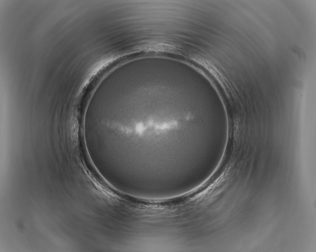 X0000112101115200908041505