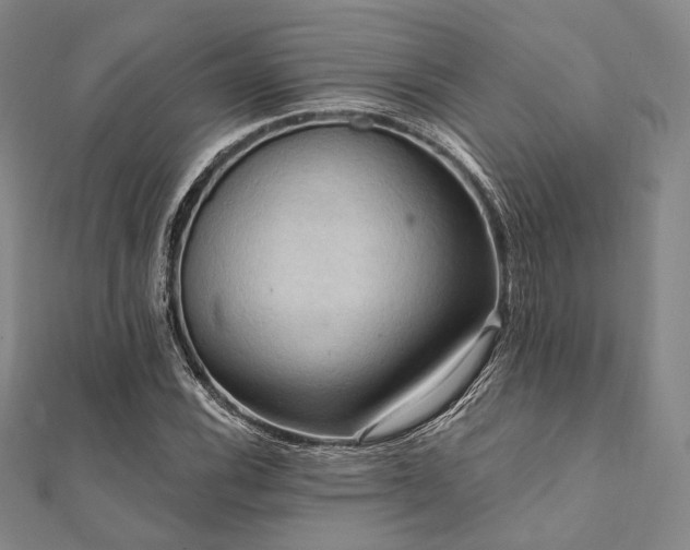 X0000112101116200908041505