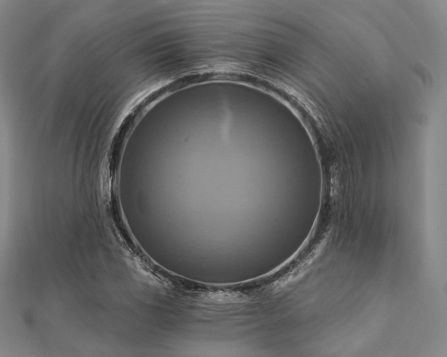X0000112101117200908041505