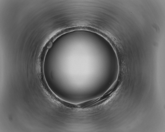 X0000112101118200908041505