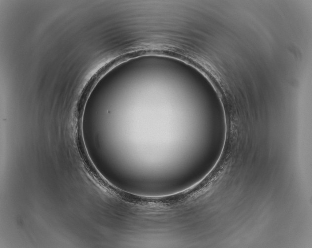 X0000112101119200908041505