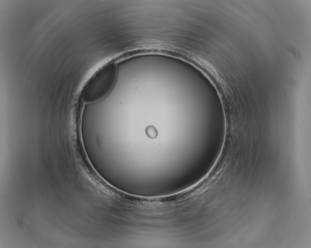 X0000112101120200908041505