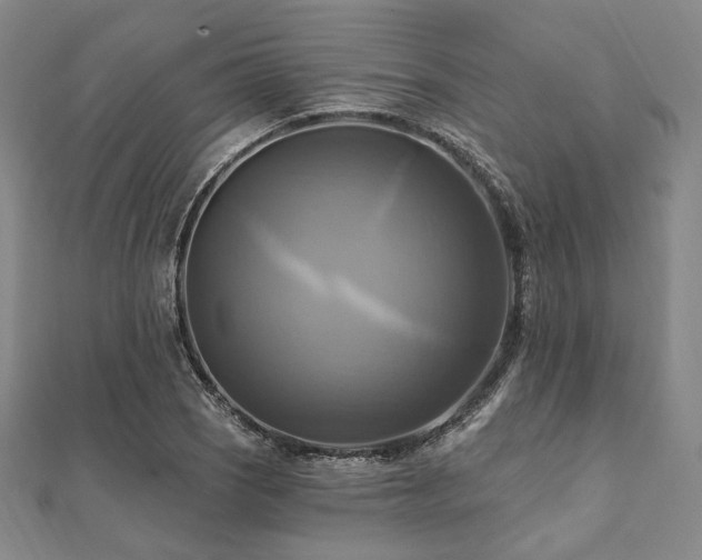 X0000112101121200908041505