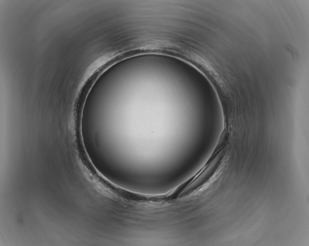 X0000112101122200908041505