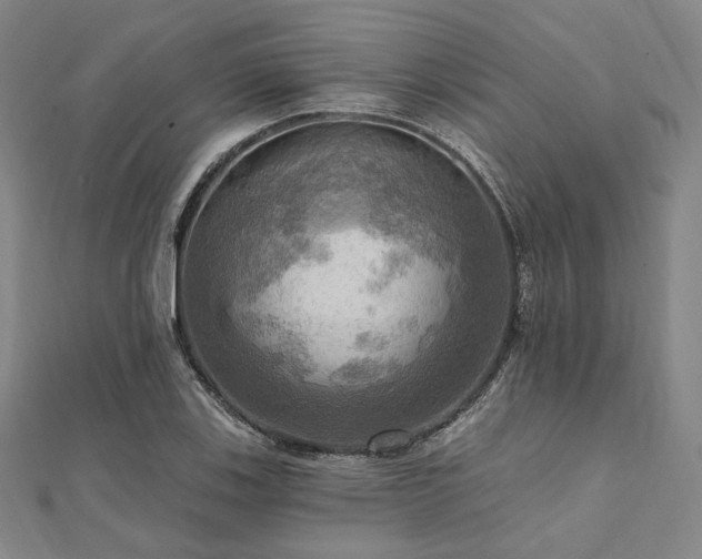 X0000112101123200908041505