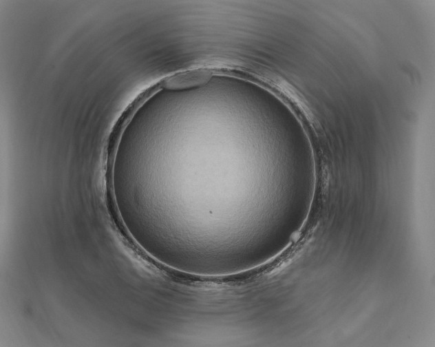 X0000112101124200908041505