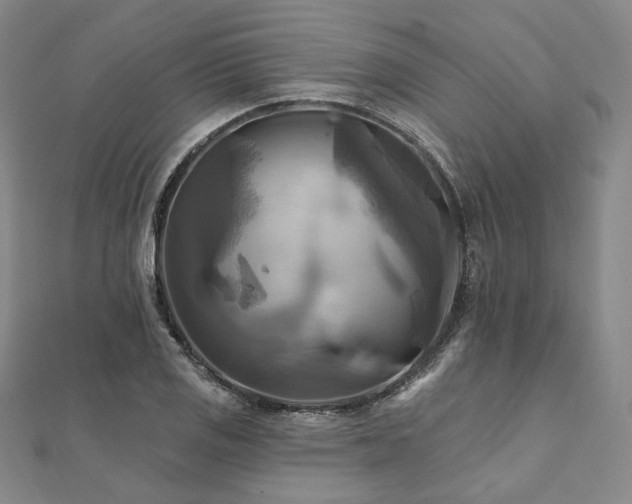 X0000112101125200908041505