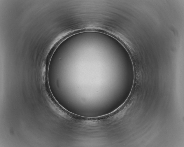 X0000112101126200908041505