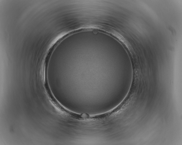 X0000112101127200908041505
