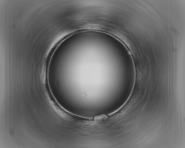 X0000112101131200908041505