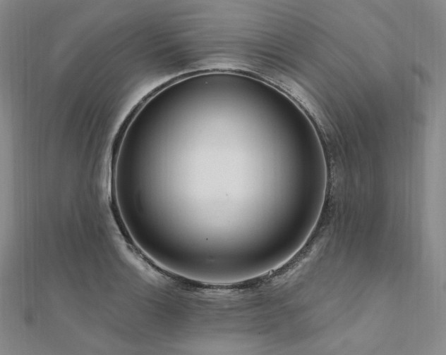 X0000112101132200908041505