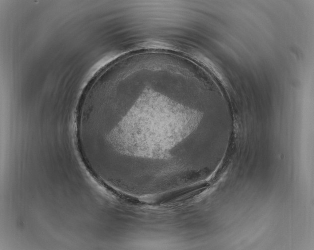 X0000112101133200908041505