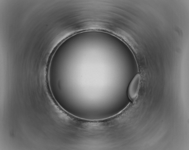 X0000112101134200908041505
