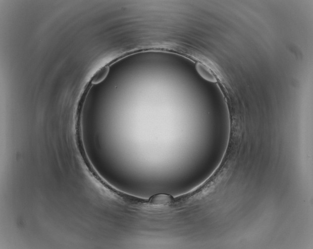 X0000112101135200908041505