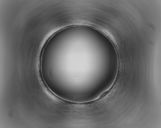 X0000112101136200908041505