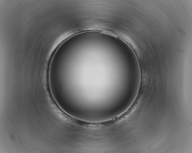 X0000112101138200908041505