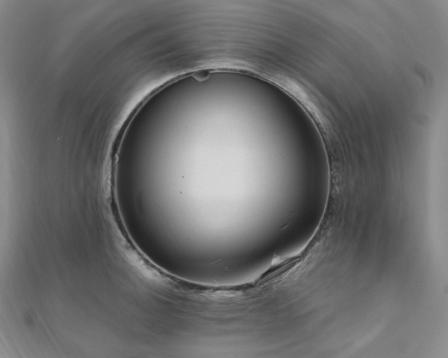X0000112101140200908041505