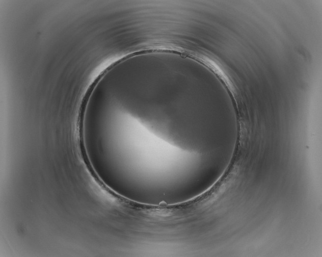 X0000112101141200908041505