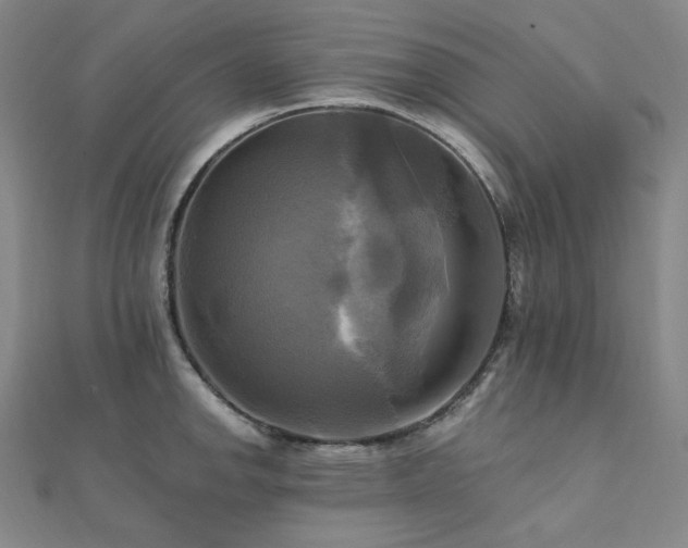 X0000112101142200908041506