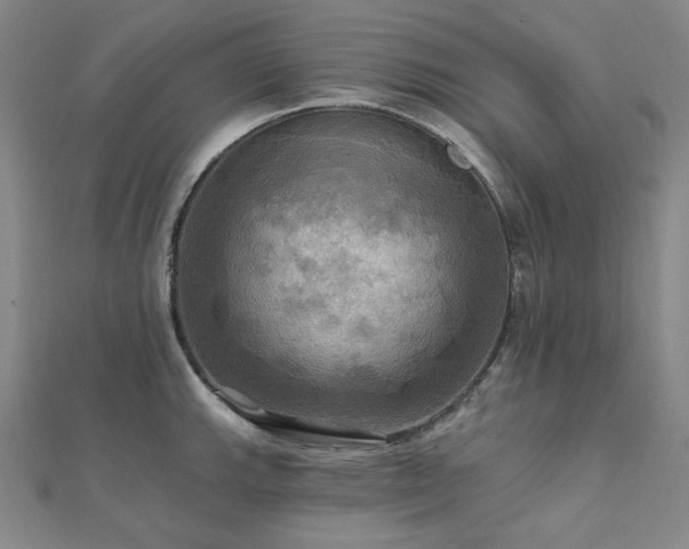 X0000112101143200908041506