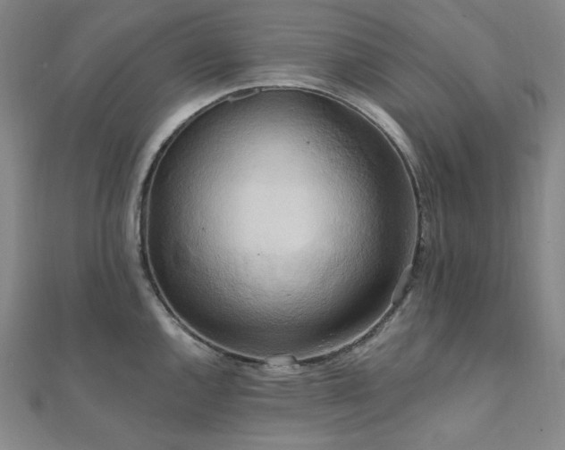 X0000112101144200908041506