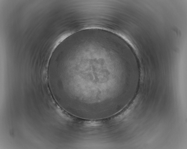 X0000112101145200908041506