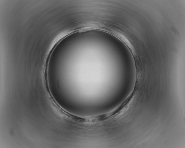 X0000112101146200908041506