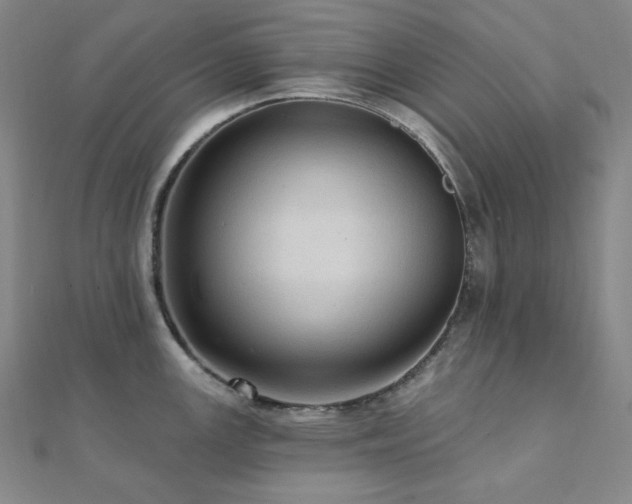 X0000112101147200908041506