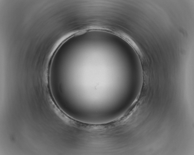 X0000112101148200908041506