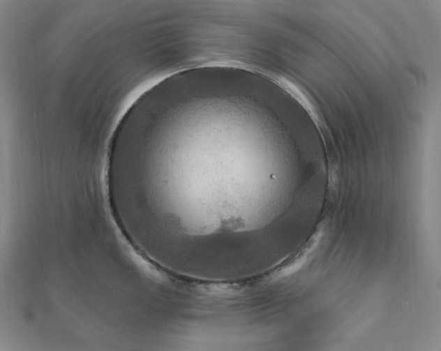 X0000112101149200908041506