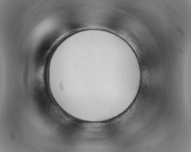 X0000112101150200908041506