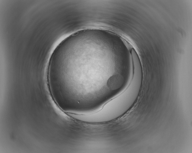 X0000112101152200908041506