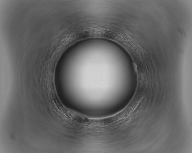 X0000112101153200908041505