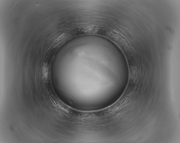 X0000112101154200908041505