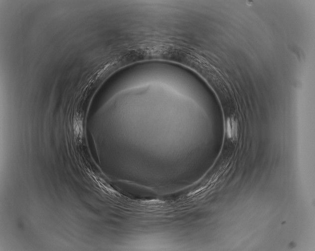 X0000112101155200908041505