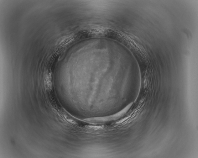 X0000112101156200908041505