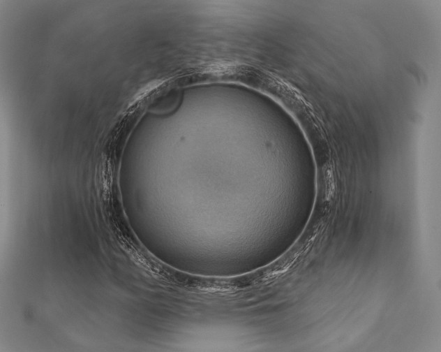 X0000112101158200908041505