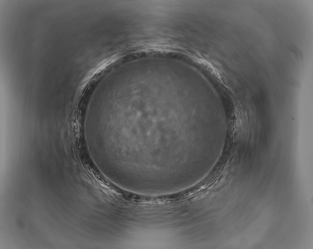 X0000112101159200908041505