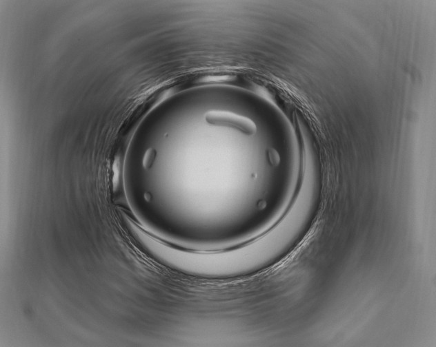 X0000112101161200908041505