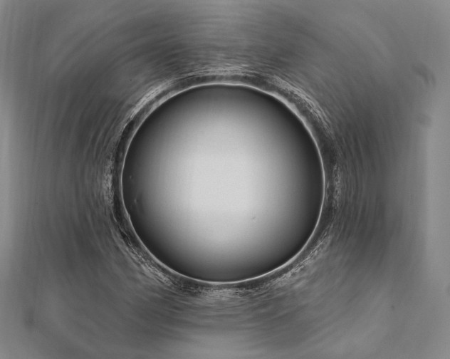 X0000112101162200908041505