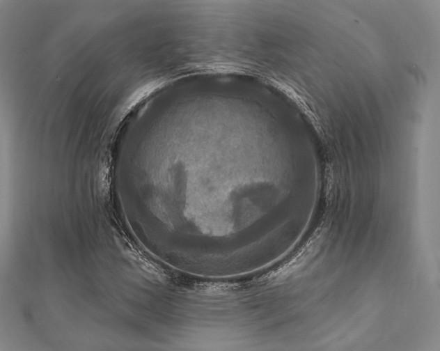 X0000112101163200908041505