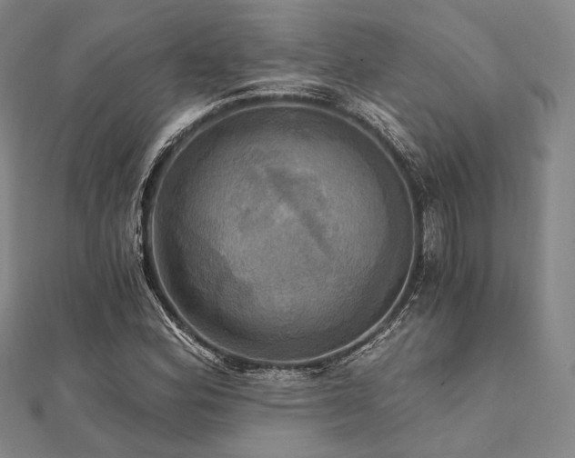X0000112101164200908041505