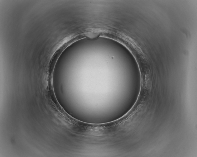 X0000112101165200908041505