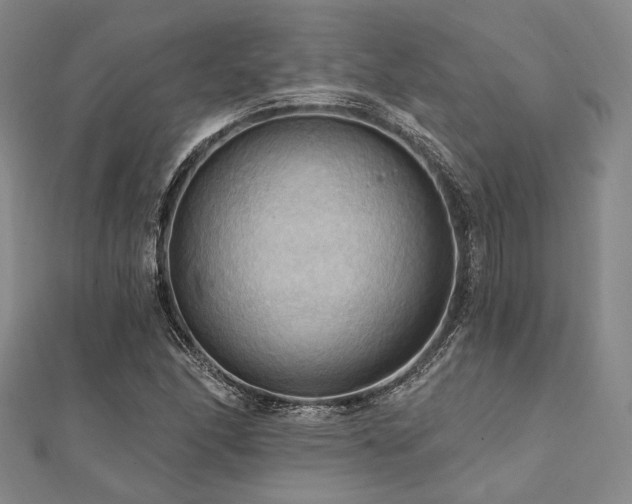 X0000112101166200908041505