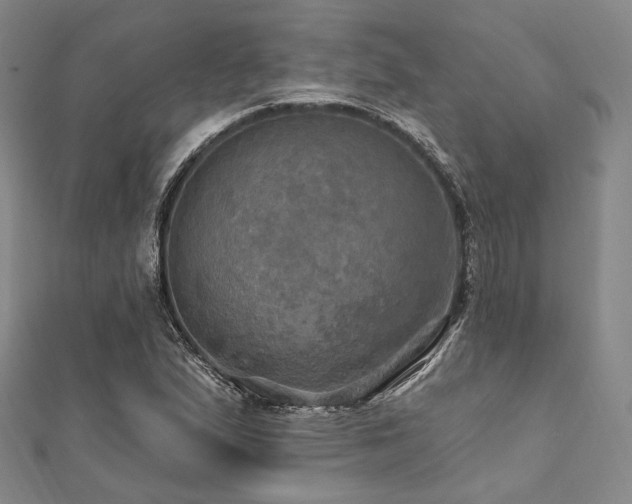 X0000112101167200908041505
