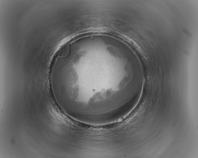 X0000112101168200908041505