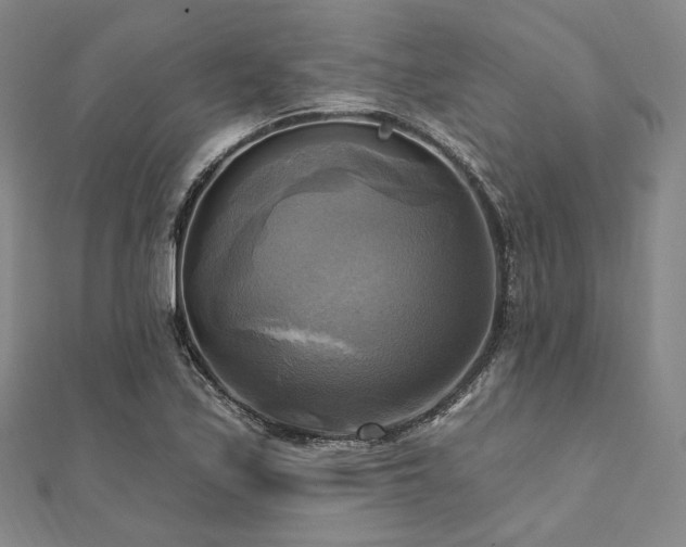 X0000112101171200908041505