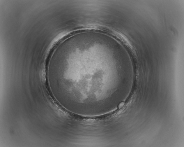 X0000112101172200908041505