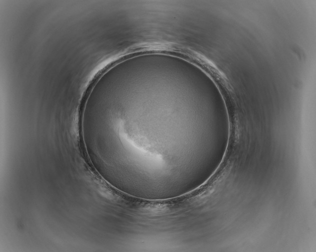 X0000112101174200908041505