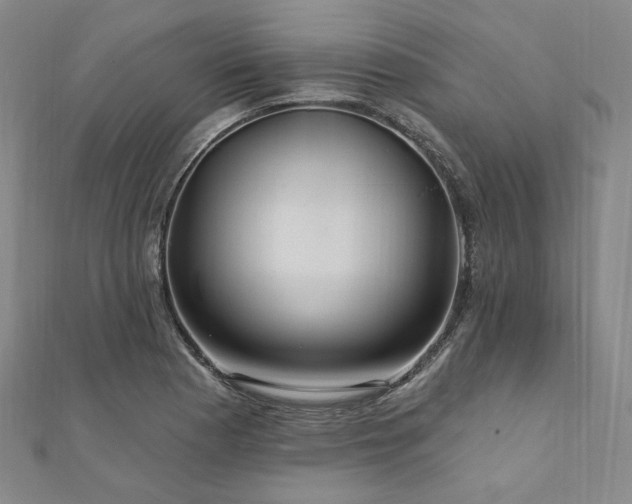 X0000112101177200908041505
